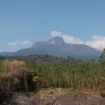 6 Fakta Menarik Gunung Saran di Kalimantan, Rutenya Melewati Perkebunan Sawit