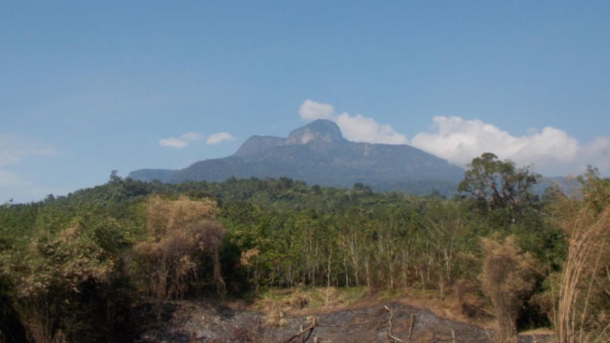 6 Fakta Menarik Gunung Saran di Kalimantan, Rutenya Melewati Perkebunan Sawit