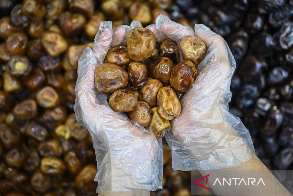 Kurma dan segudang manfaatnya untuk kesehatan tubuh