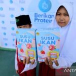 Proses pembuatan susu ikan