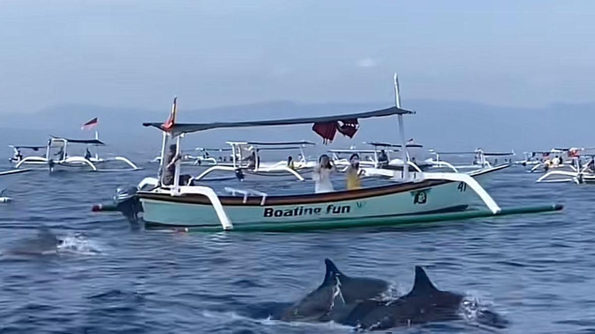 Tour ke Pantai Lovina Bali anda bisa berenang bersama lumba-lumba dan snorkeling