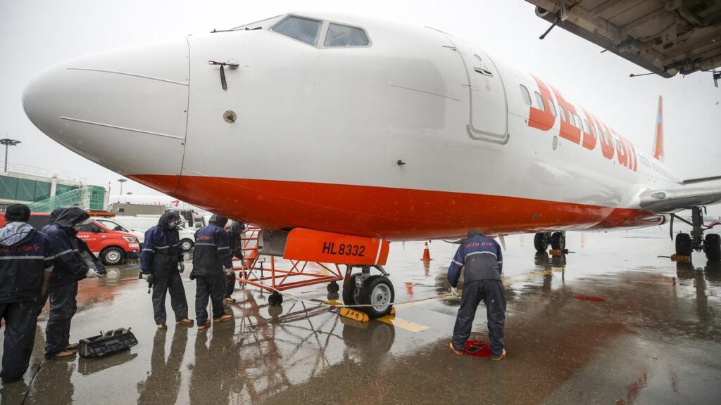 Pesawat Jeju Air Membawa 175 Penumpang dan Jatuh di Bandara Muan Korea Diduga Tabrakan dengan Burung