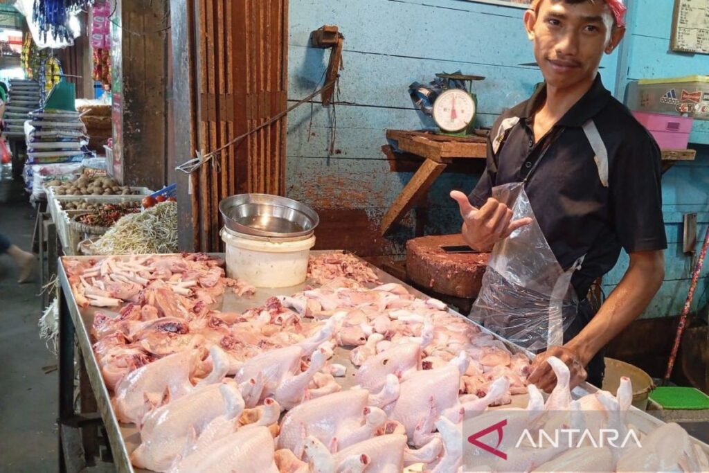 Cara marinasi ayam yang tepat agar terhindar dari keracunan