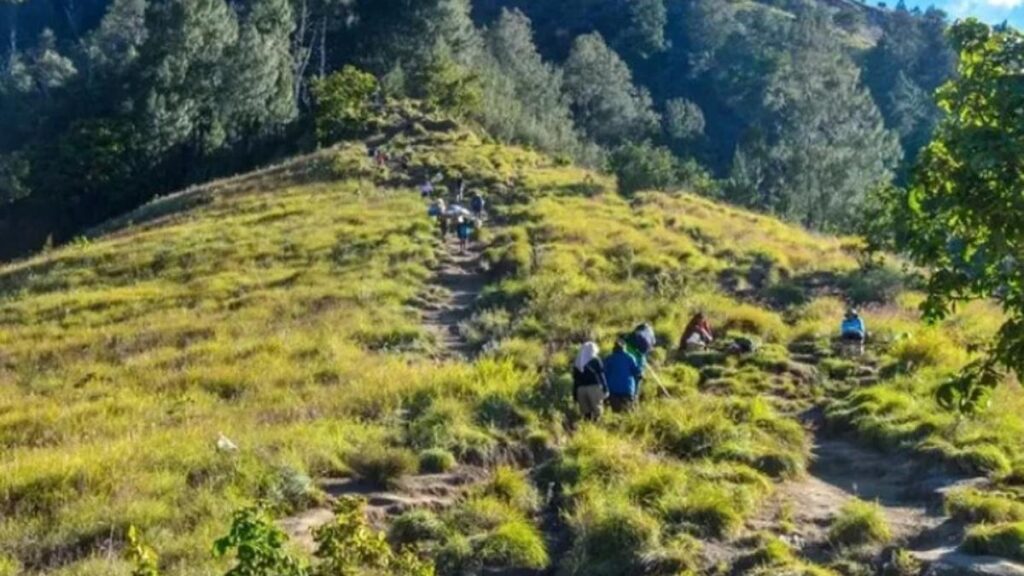 Dampak cuaca ekstrem, 11 tempat wisata yang tidak menantang di Gunung Rinjani ditutup sementara