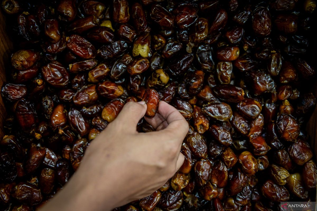 Kenali ciri-ciri kurma tanpa gula tambahan yang sehat untuk Ramadhan