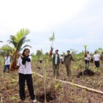 Sejarah Ketenagakerjaan Badan Pemulihan Gambut dan Mangrove yang ditutup setelah 9 tahun