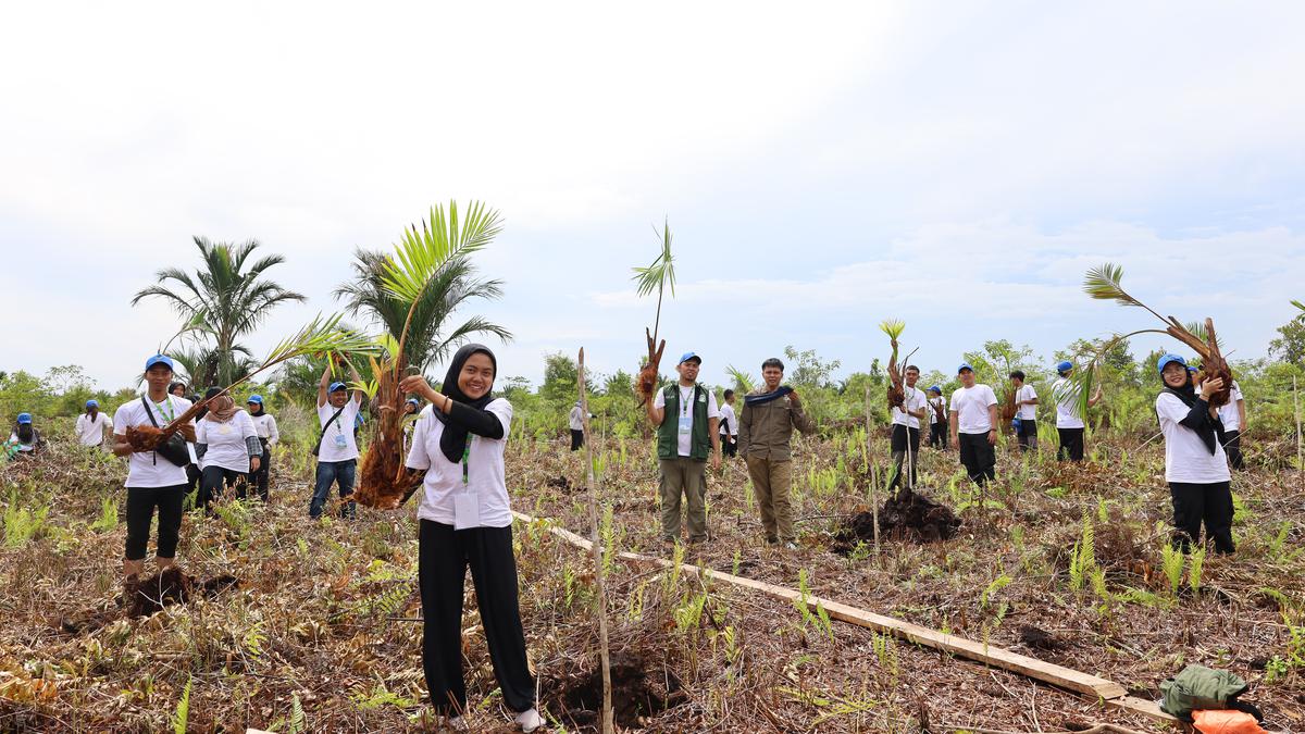 Sejarah Ketenagakerjaan Badan Pemulihan Gambut dan Mangrove yang ditutup setelah 9 tahun