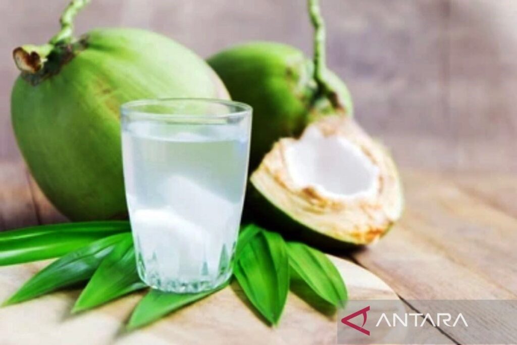 Daftar minuman yang bisa tingkatkan fokus dan daya ingat otak