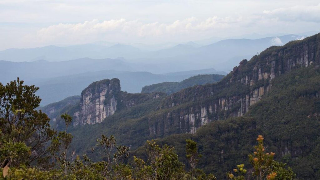 6 Fakta Menarik Bukitik Batik, jantung Pulau Kalimantan di mana habitat orangutan