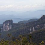 6 Fakta Menarik Bukitik Batik, jantung Pulau Kalimantan di mana habitat orangutan