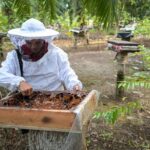 7 manfaat garam dan madu untuk kesehatan tubuh