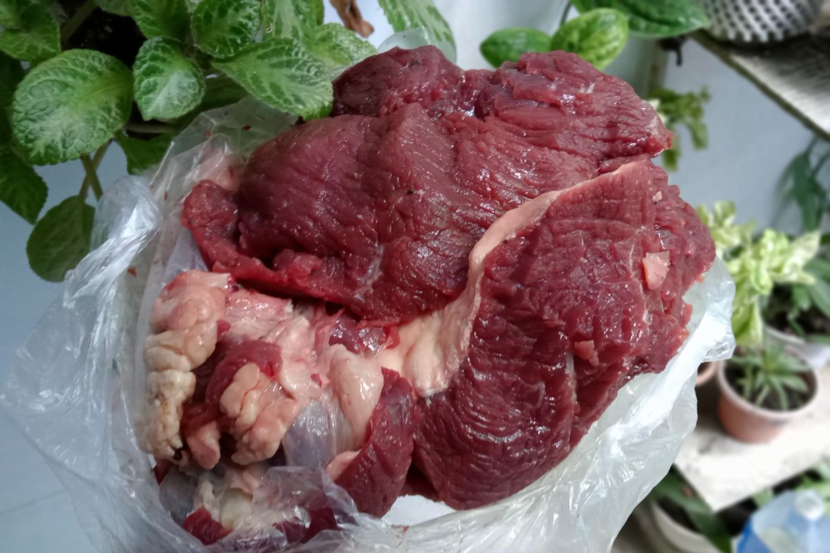 Cara menikmati daging kurban Idul Adha tanpa khawatir kolesterol