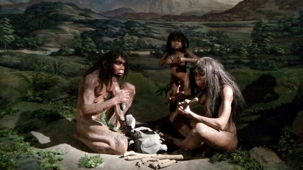 Jejak homo erectus di dasar laut Indonesia: temuan fosil yang dapat mengubah sejarah