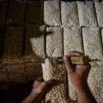 Mengenal sejarah tempe kedelai, makanan fermentasi khas nusantara