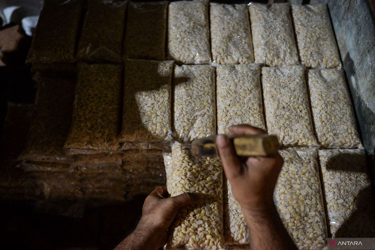 Mengenal sejarah tempe kedelai, makanan fermentasi khas nusantara