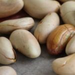 Manfaat biji nangka: Dari jaga pencernakan hingga cegah kanker