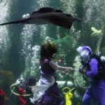 10 Rekomendasi untuk acara pariwisata liburan sekolah yang menyenangkan di Jakarta ke Makassar
