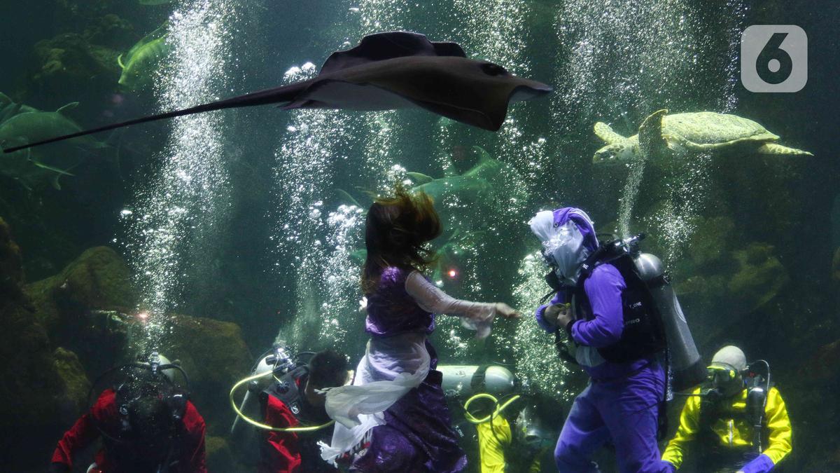10 Rekomendasi untuk acara pariwisata liburan sekolah yang menyenangkan di Jakarta ke Makassar