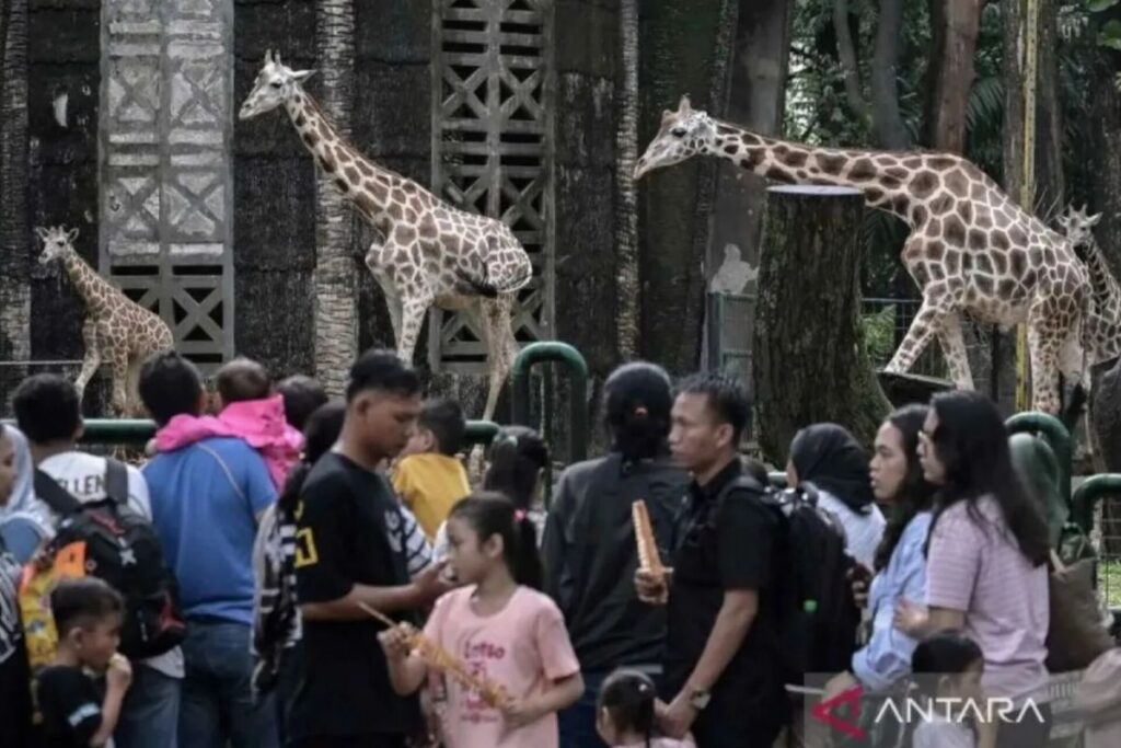 Cara mudah beli tiket Ragunan: Online via aplikasi & dengan JakCard