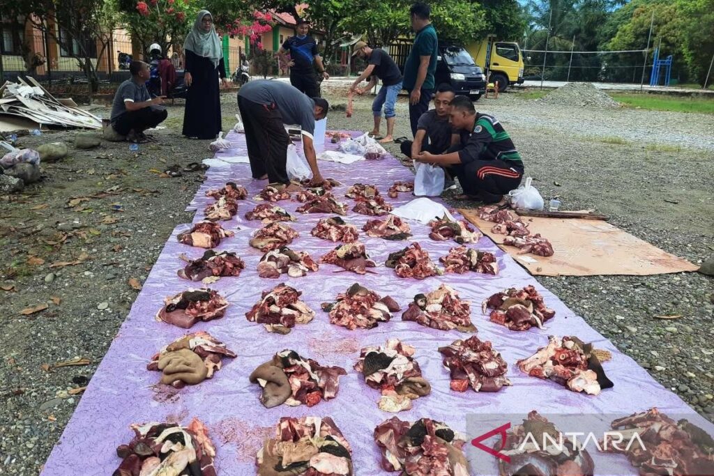 Empedu kambing: Khasiat, efek samping, dan cara konsumsi yang aman