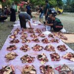 Empedu kambing: Khasiat, efek samping, dan cara konsumsi yang aman