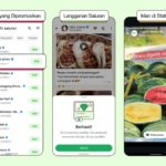 Meta secara resmi menempatkan iklan di whatsapp, di mana Anda muncul?