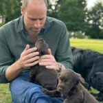 Pangeran William merayakan ulang tahun ke -43, Kate Middleton berbagi potret manis