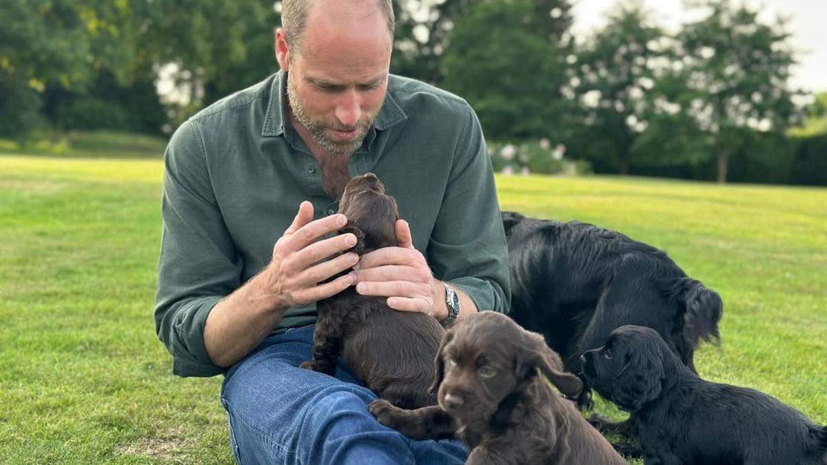 Pangeran William merayakan ulang tahun ke -43, Kate Middleton berbagi potret manis