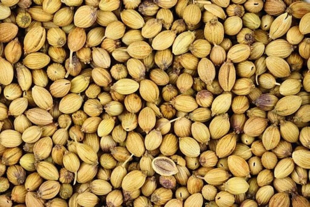 Bisa menjaga gula darah, ini manfaat ketumbar untuk kesehatan