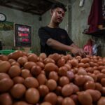 Pickum yang berkaitan dengan IG dan Tiktok, apakah telur ayam perlu disimpan di lemari es atau tidak?