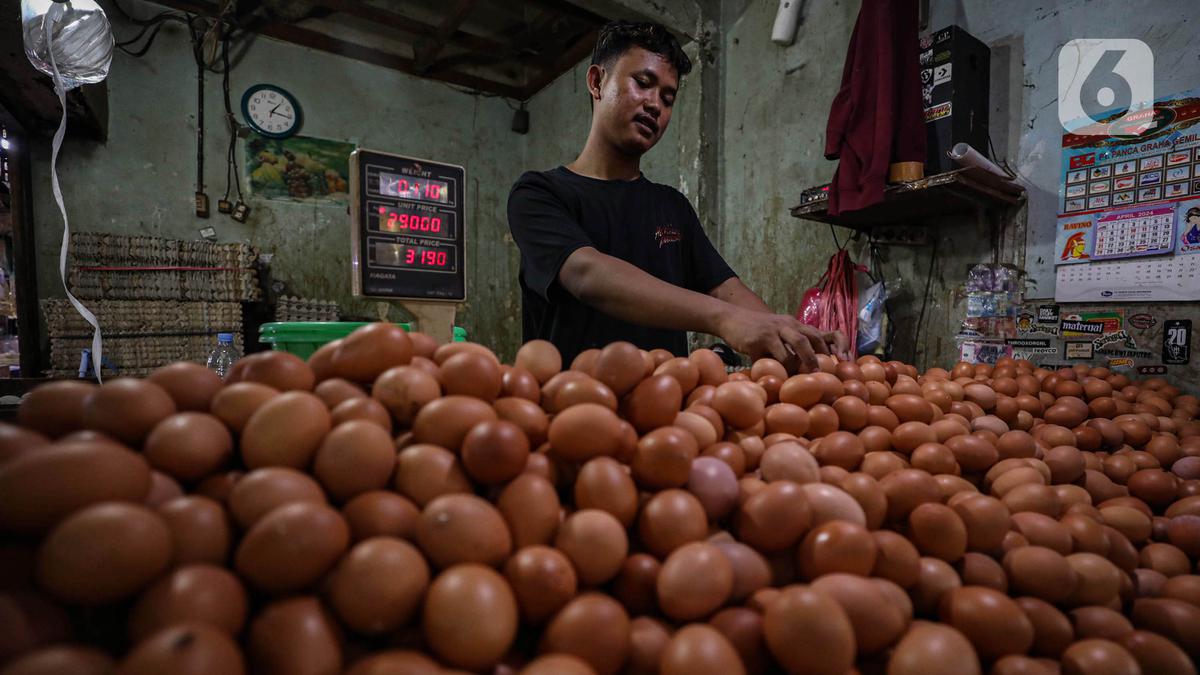 Pickum yang berkaitan dengan IG dan Tiktok, apakah telur ayam perlu disimpan di lemari es atau tidak?