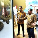 Ada pameran manusia kuno Sangiran di Museum De Tjolomadoe Karanganyar untuk tahun berikutnya