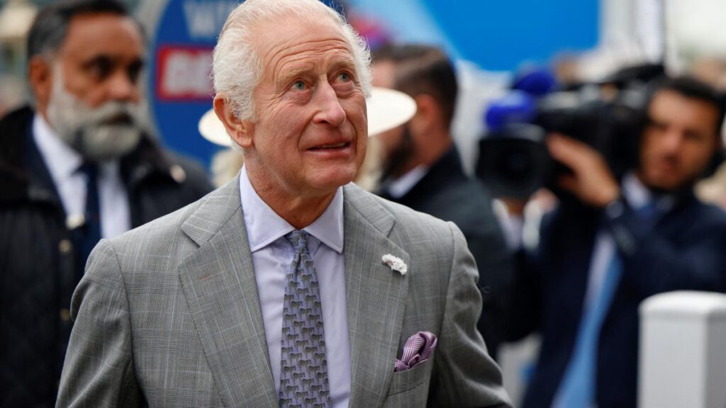 Top 3 Berita Hari Ini: Tawon Terror Berjuang Pedesaan Raja Charles III Rumah Di Inggris, Turis Diminta untuk Berhati -hatilah