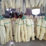 8 manfaat tape singkong bagi kesehatan dan efek sampingnya