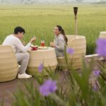 18 Rekomendasi Tempat Makan Enak dengan Pemandangan Sawah di Kulon Progo 2025