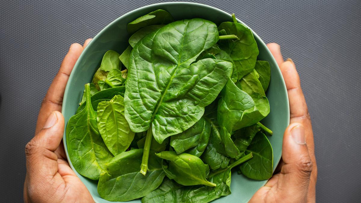 6 Bumbu Sayur Bening Bayam, Resep Lauk Praktis Lengkap