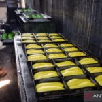 Ini dampak buruk konsumsi gluten dan dairy bagi penderita alergi