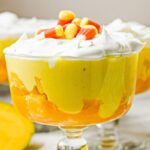 Nikmati segarnya Mango Trifle, Resep dessert penyejuk di cuaca panas