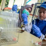 Tips mengurangi akrilamida di makanan sehari-hari dengan mudah