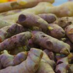 6 Khasiat Kunyit Hitam yang Langka, Salah Satunya Meredakan Nyeri Otot