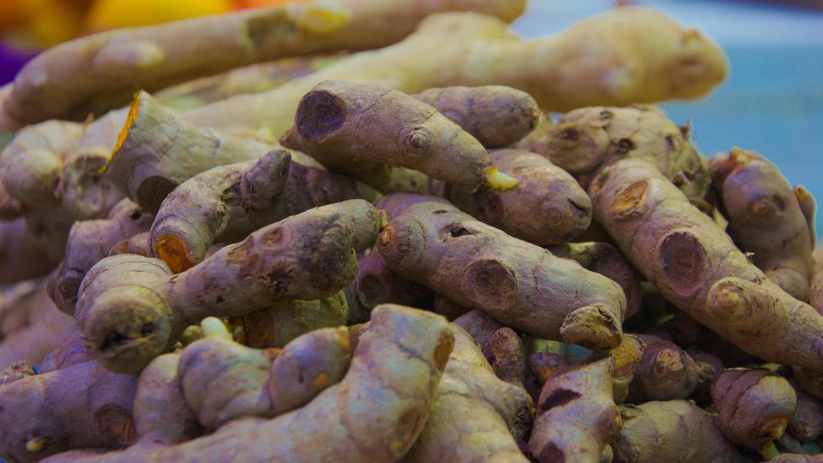 6 Khasiat Kunyit Hitam yang Langka, Salah Satunya Meredakan Nyeri Otot