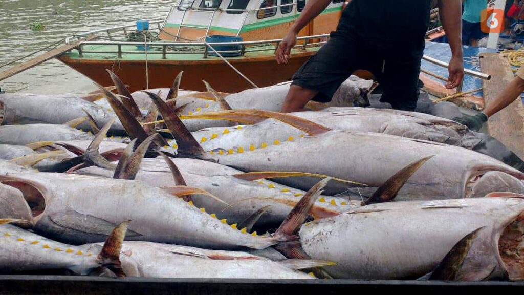 Tradisi Huhate ala Maluku, Kunci Emas Indonesia Menuju Pasar Tuna Premium yang Perlu Keberlanjutan
