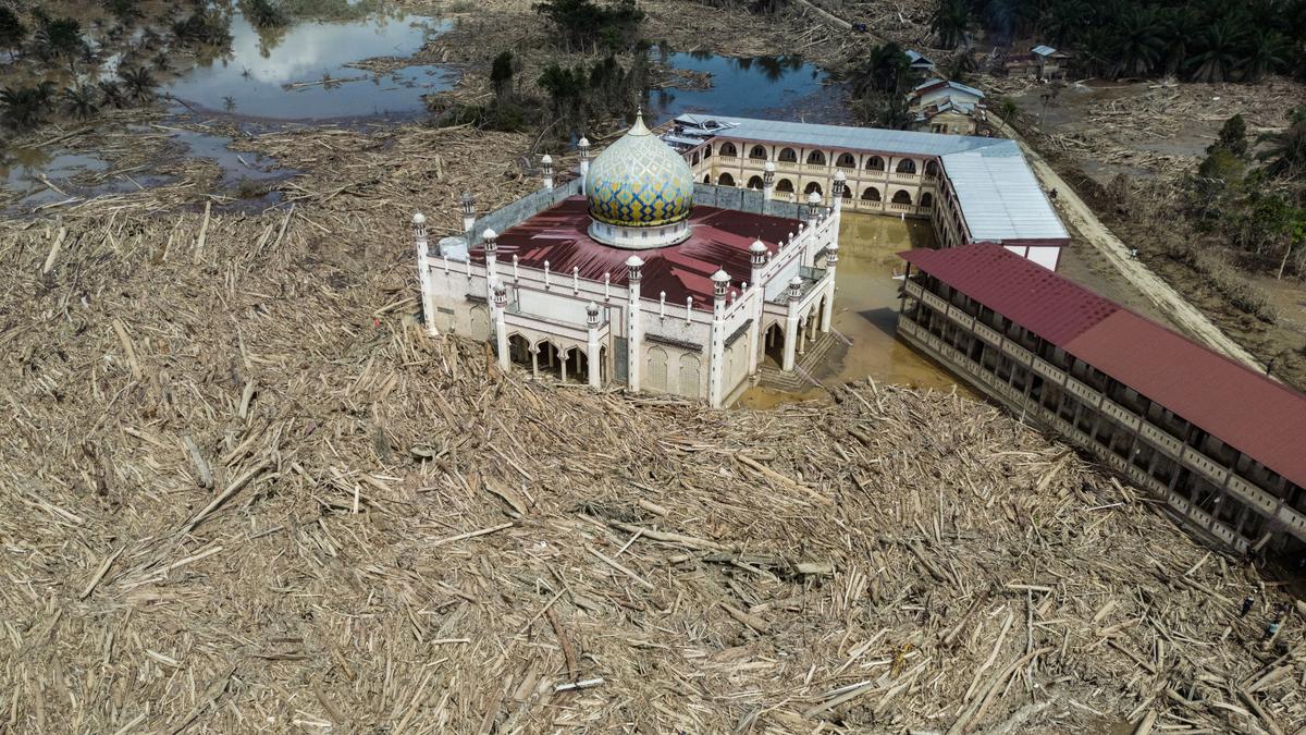 Masjid di Aceh Tamiang Dikelilingi Kayu, Potret Derita Banjir Bandang dan Dampak Penebangan Hutan