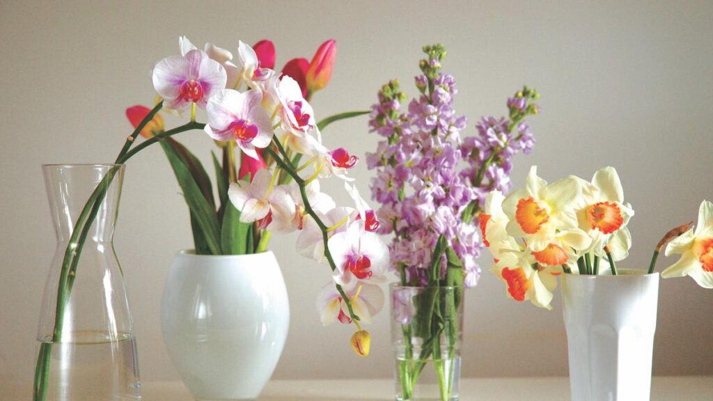 6 Pilihan Bunga Segar Terbaik untuk Ditanam dalam Pot, Bisa Mempercantik Sudut Rumah