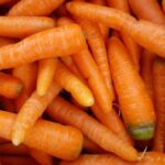 Cara Mudah Menanam Wortel dalam Pot agar Hasil Renyah dan Segar