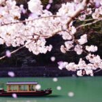 Rekomendasi Hotel Menikmati Musim Sakura 2026 di Jepang, Kyoto hingga Aomori