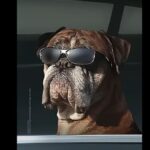 Samsung memamerkan peningkatan cahaya rendah dan zoom pada kamera seri Galaxy S26