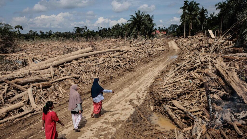 Benih Pemulihan, Perjalanan Panjang Pemulihan Hutan Sumatera Hulu yang Terkena Bencana
