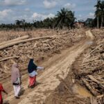 Benih Pemulihan, Perjalanan Panjang Pemulihan Hutan Sumatera Hulu yang Terkena Bencana
